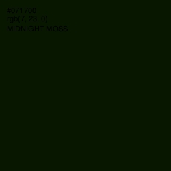 #071700 - Midnight Moss Color Image